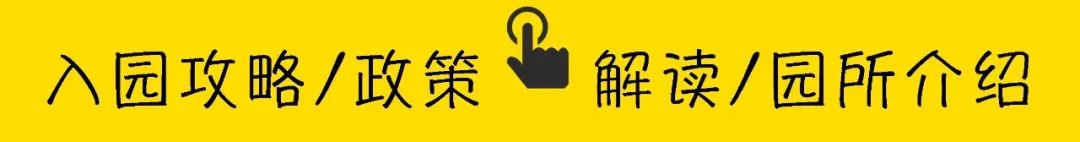 深圳公立幼儿园的入园条件,深圳公立幼儿园入园如何报名