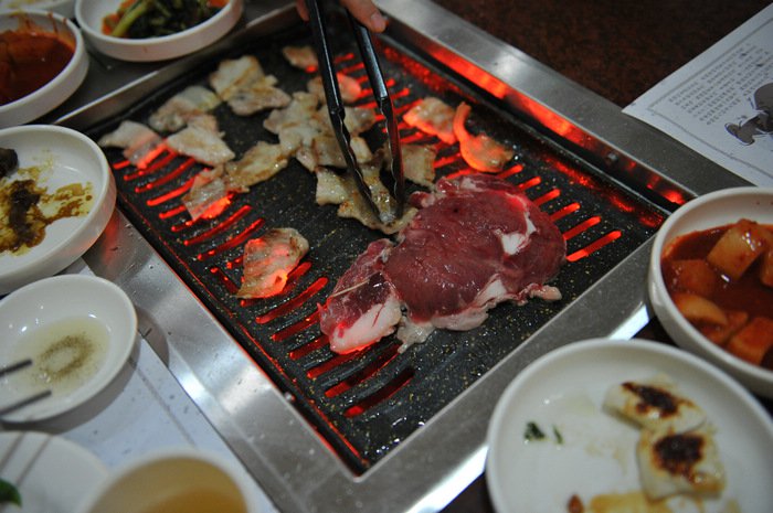 七彩神仙爱好者,野生七彩神仙开口