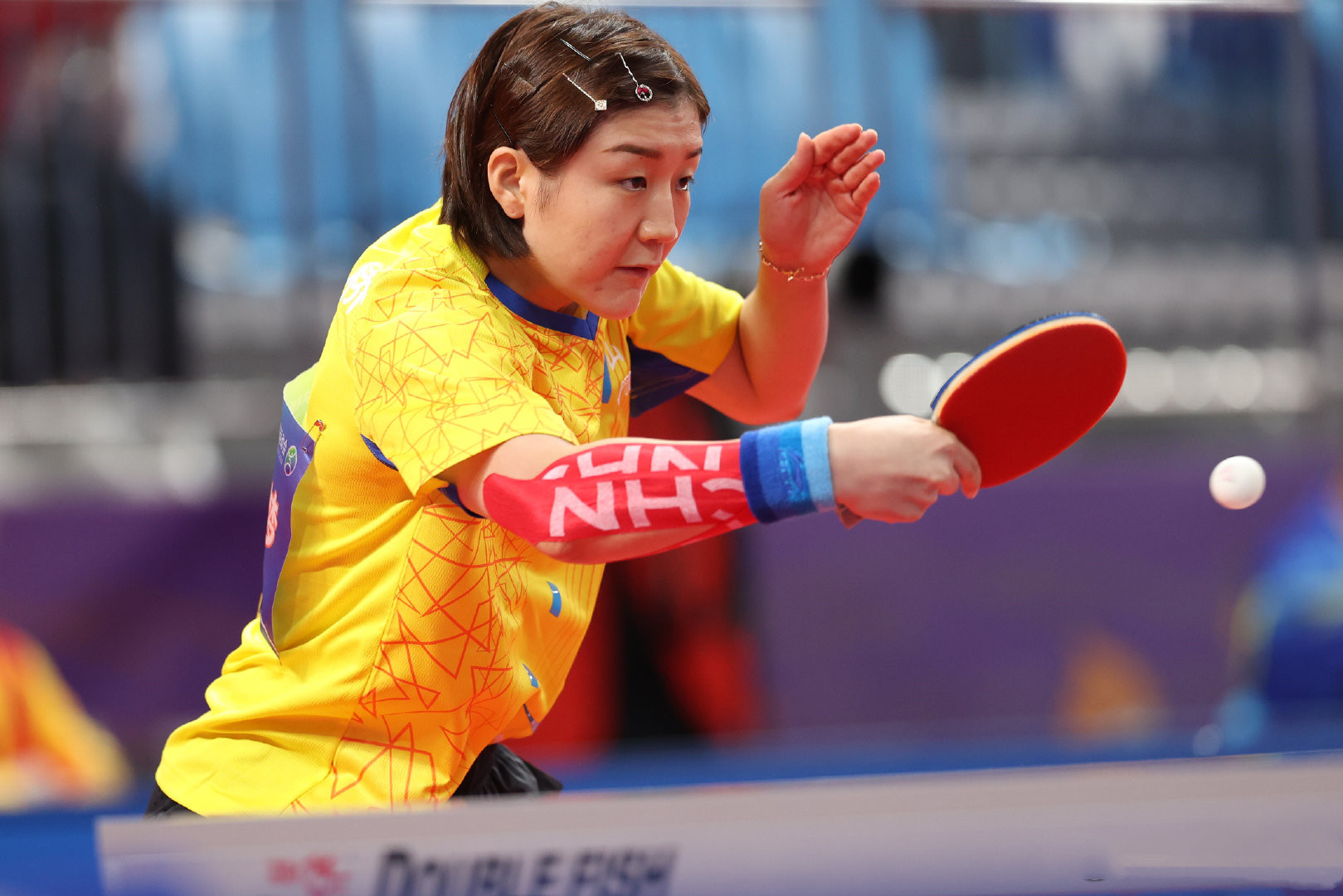 2023辽宁夺冠历程,辽宁史上第一个总冠军