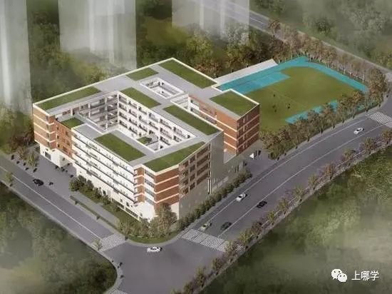 上海2020新增学位,上海各大学2024新增学位点