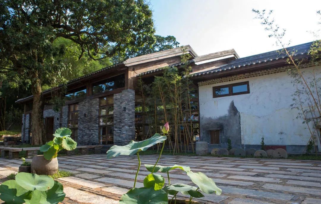 “惠阳八景”视频上线，快来感受将军故里新风采！