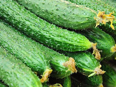 12个菜农不对外说的买菜窍门，新鲜水嫩，菜贩子：一看就是行家