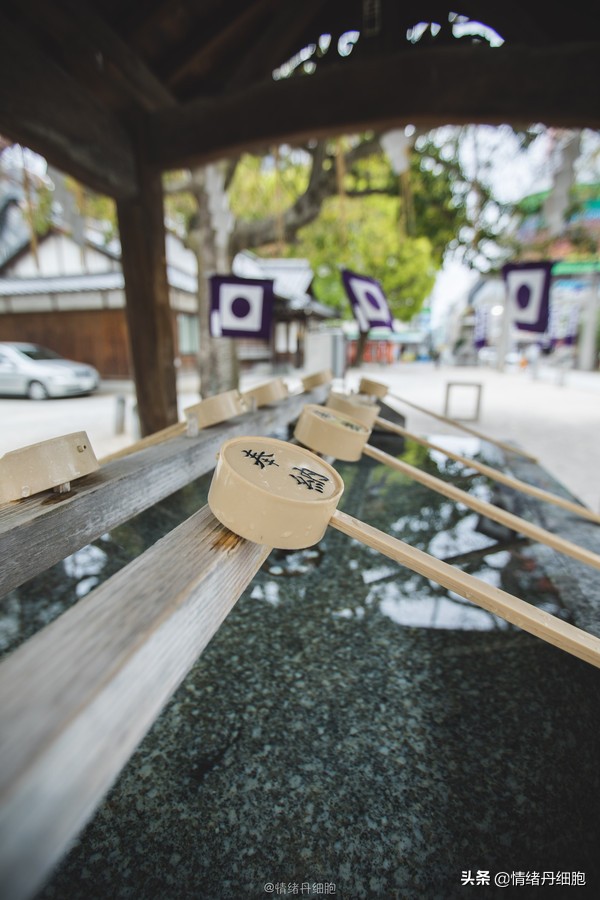 皇家加勒比邮轮量子号新加坡出发,皇家加勒比海洋量子号邮轮之旅