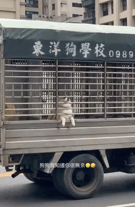 在网上买的盲盒靠谱吗,别盲目买盲盒