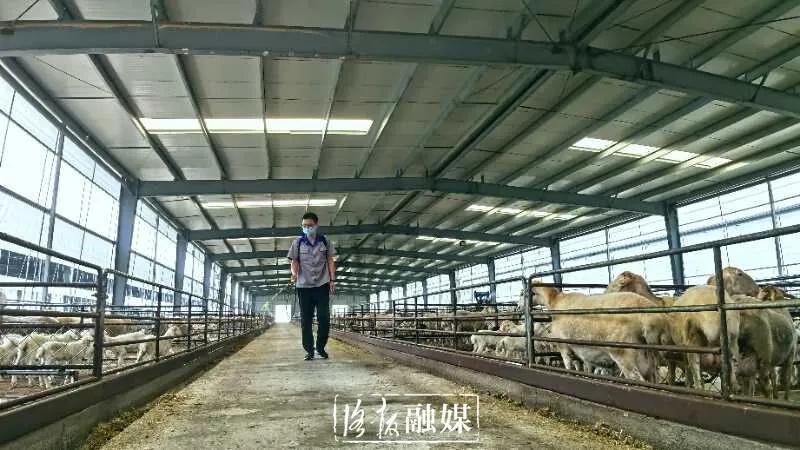 打工仔当上年薪百万公司老总,打工仔当上老板化身百万富翁