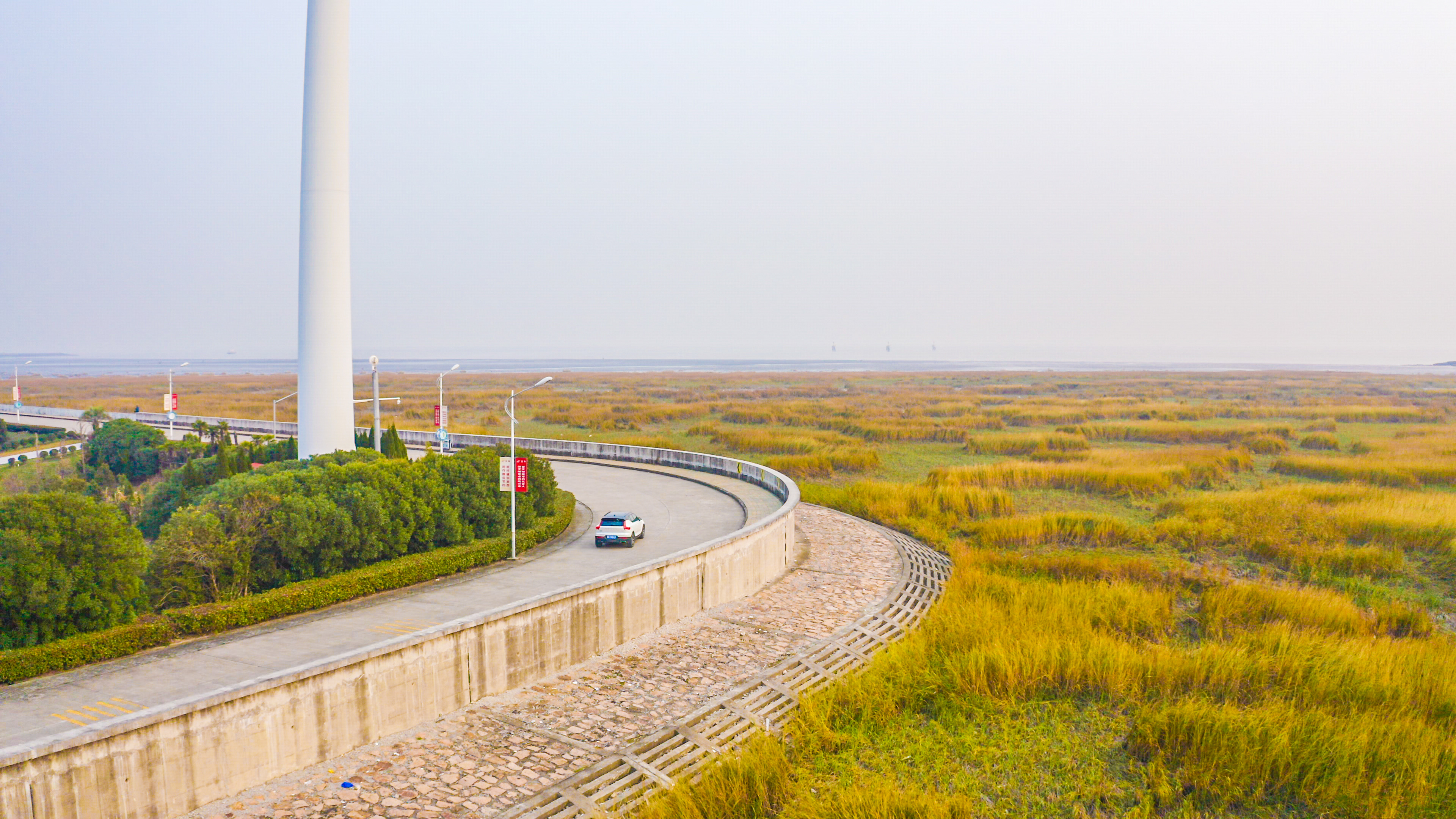 上海周边赶海一日游攻略,上海周边好玩的海边赶海在哪里