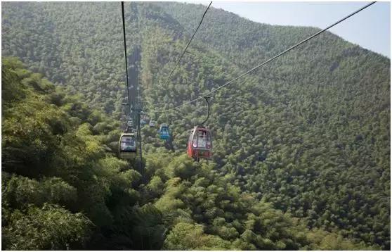 我在抖音的这些神曲里，听出了宜兴竹海的味道