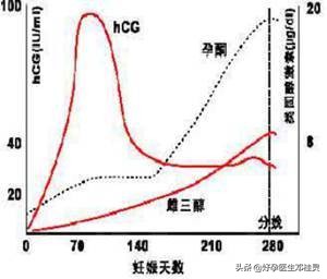 葡萄胎以后备孕要做什么检查吗,葡萄胎备孕工作