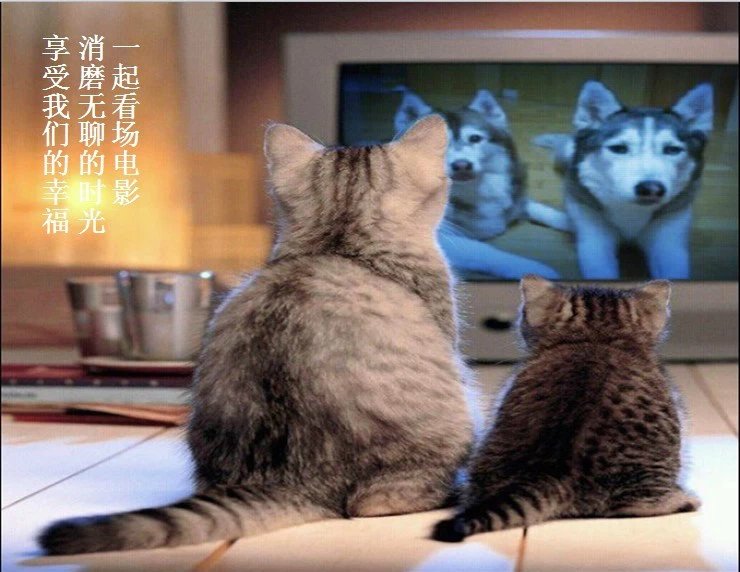 我只想说声爱你,只想再爱你一次