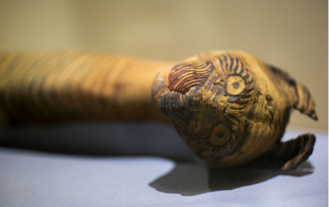 木乃伊制作方法失传,科学家怎么做木乃伊