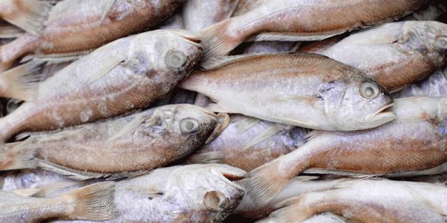 速达易购生鲜配送中心,生鲜快达