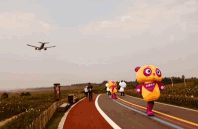 双流空港花田最新进展,双流空港花田开放了吗最新回复