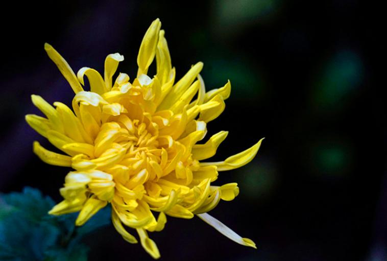 三人行古诗朗诵,三人行诗歌