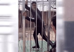 只想务农李子柒，发明无用手工耿…“不务正业”的人为何都暴富了