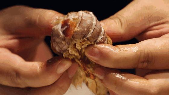 秦皇岛海鲜攻略,秦皇岛淡季海鲜攻略