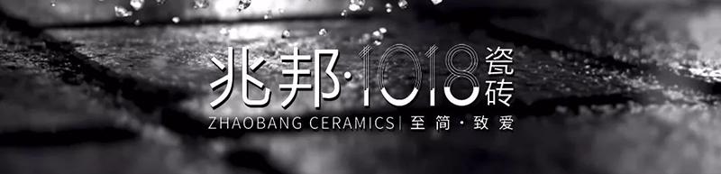 兆邦1018雅致灰,兆邦1018瓷砖包装