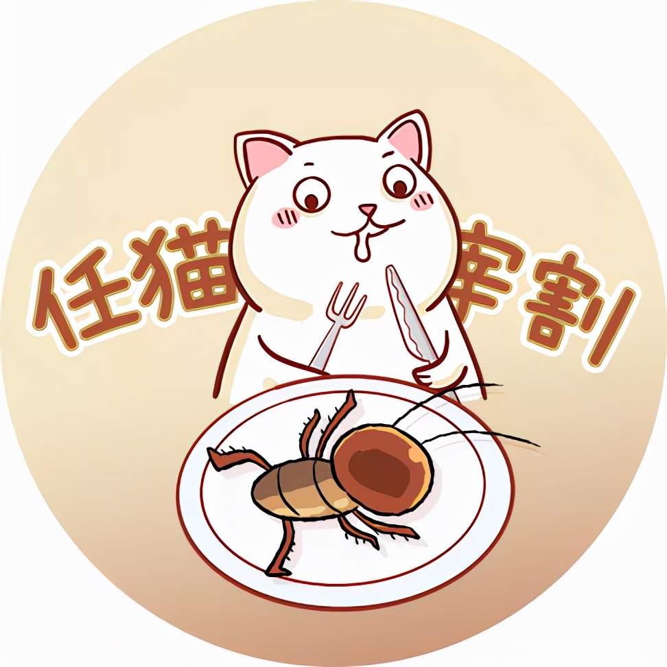 榄菊对蟑螂有效吗,狸花猫能吃蟑螂吗