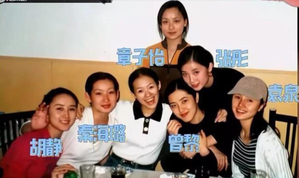 胡静与丈夫差几岁,揭秘胡静嫁入豪门真实内幕