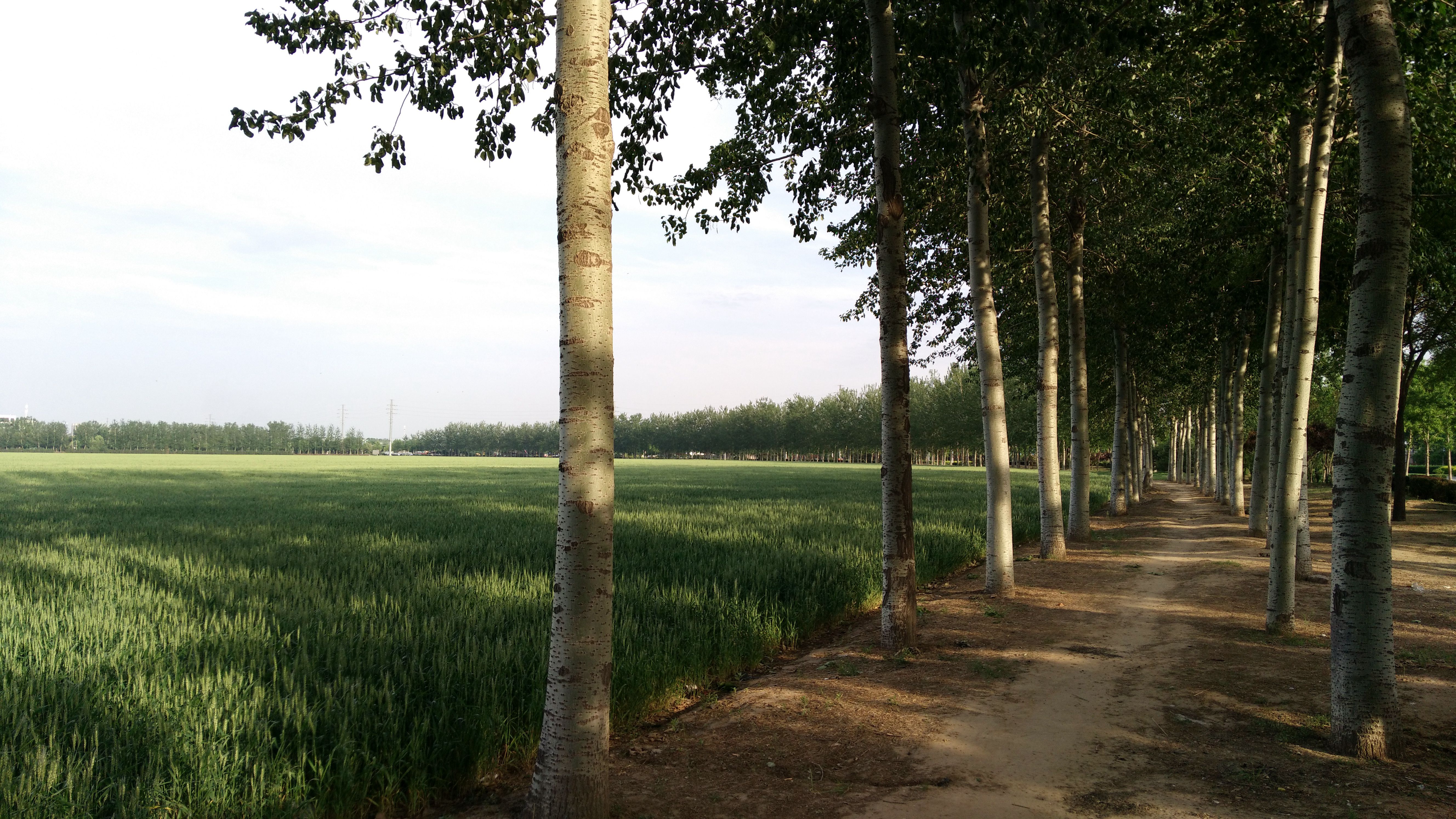 1920x1080和1366x768,1920x1080和1366x768区别