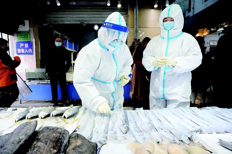 春节期间菜篮子有保障吗,瑞雪兆丰年市民菜篮子平稳如常