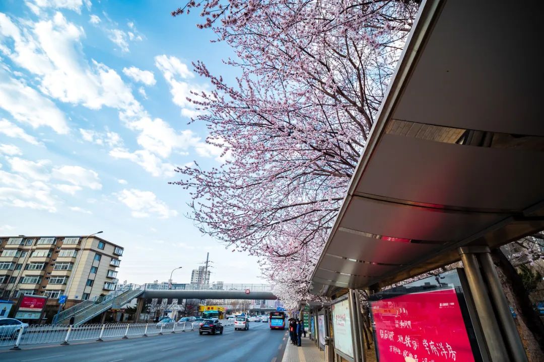 美过三亚！比厦门浪漫！中国这座海滨老城，去一次相当于环游世界