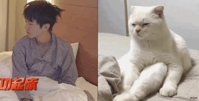 明星大撞脸你看哪个最像,明星撞脸对比