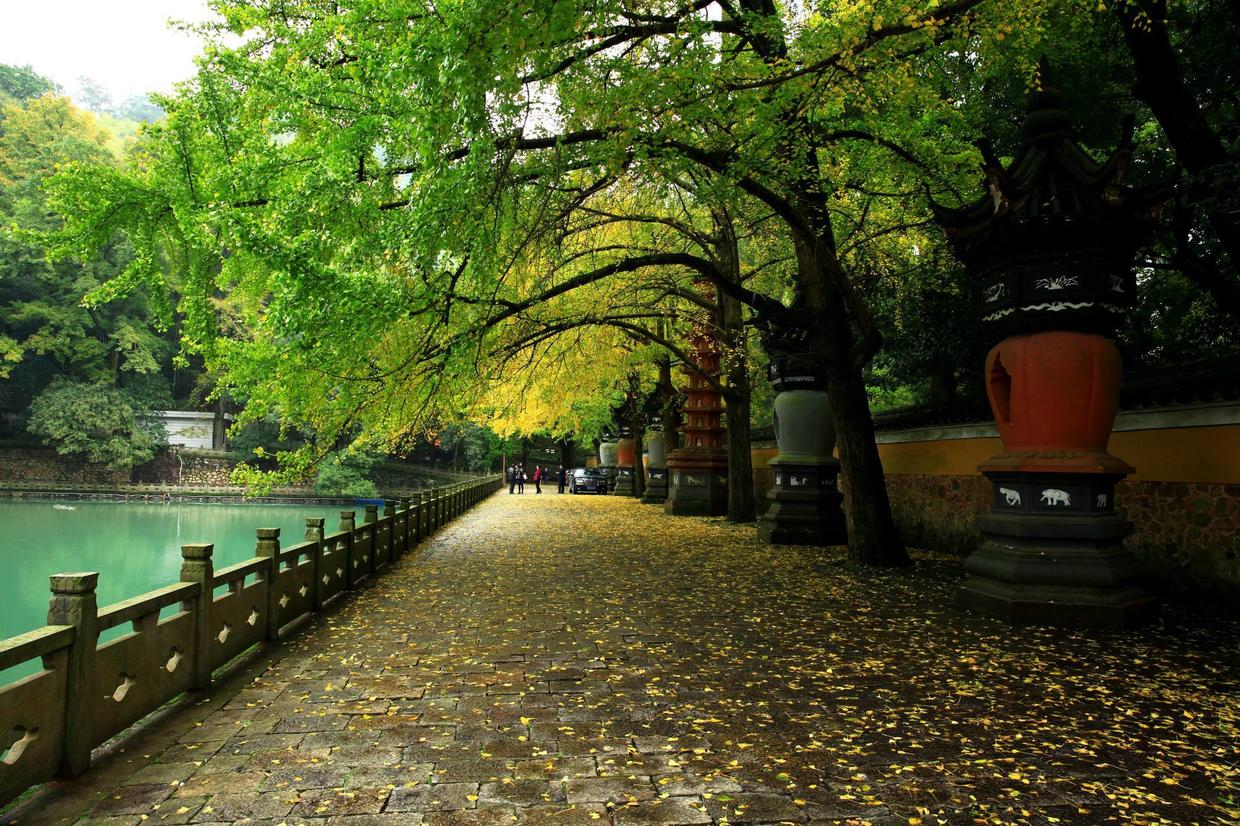 佛国天童寺之佛殿,宁波有名寺庙宁波七塔寺开放时间