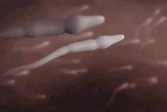 医生揭露：900多万例人流术背后，那些血淋淋的事实...