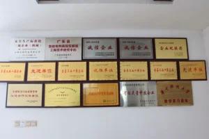 人如其名-饶松柳——访江西创银科技有限公司总经理饶松柳