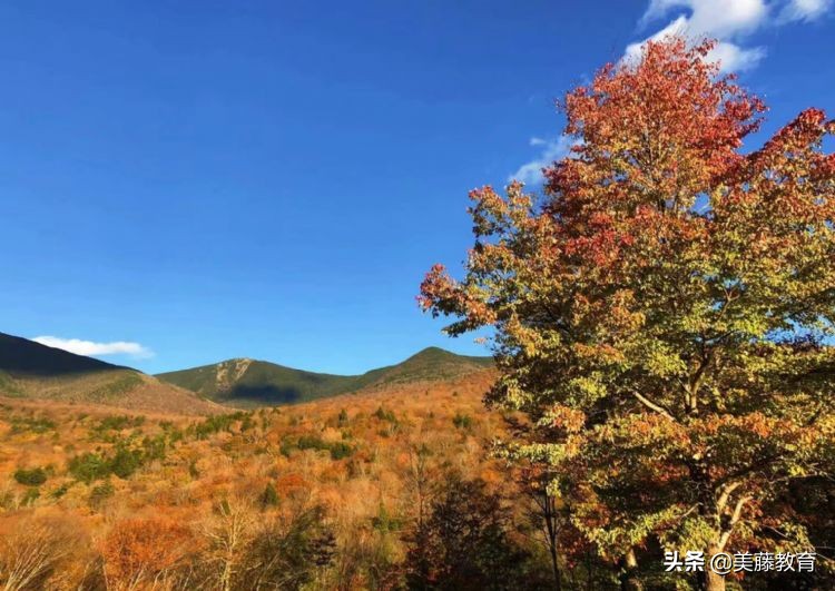 美国富兰克林马歇尔学院口碑,富兰克林和马歇尔学院安全吗