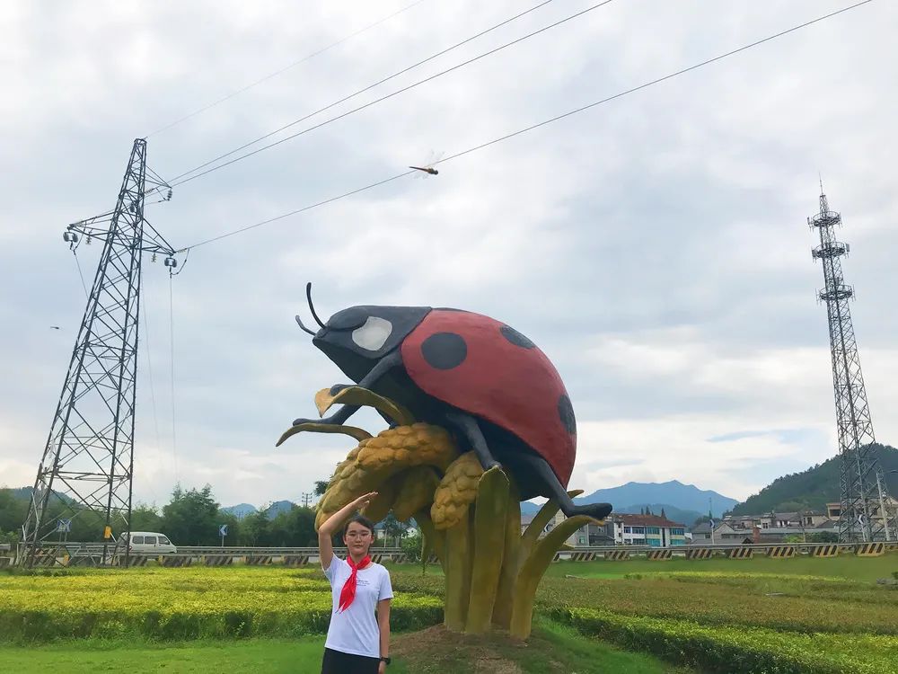 临安最好的小学是哪个,临安小学入学要求