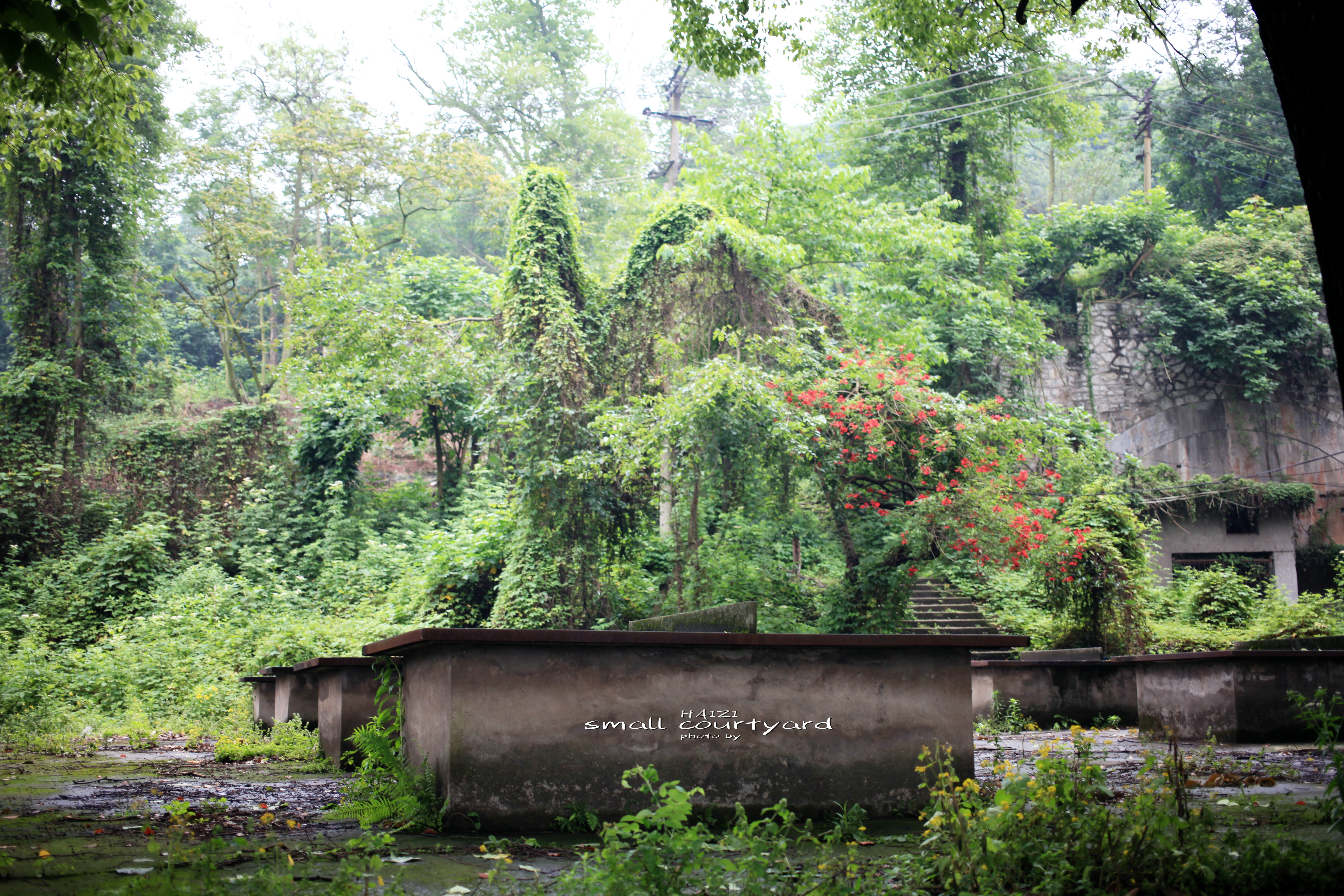北碚区原三线建设老厂区,北碚机械工业部第三设计院