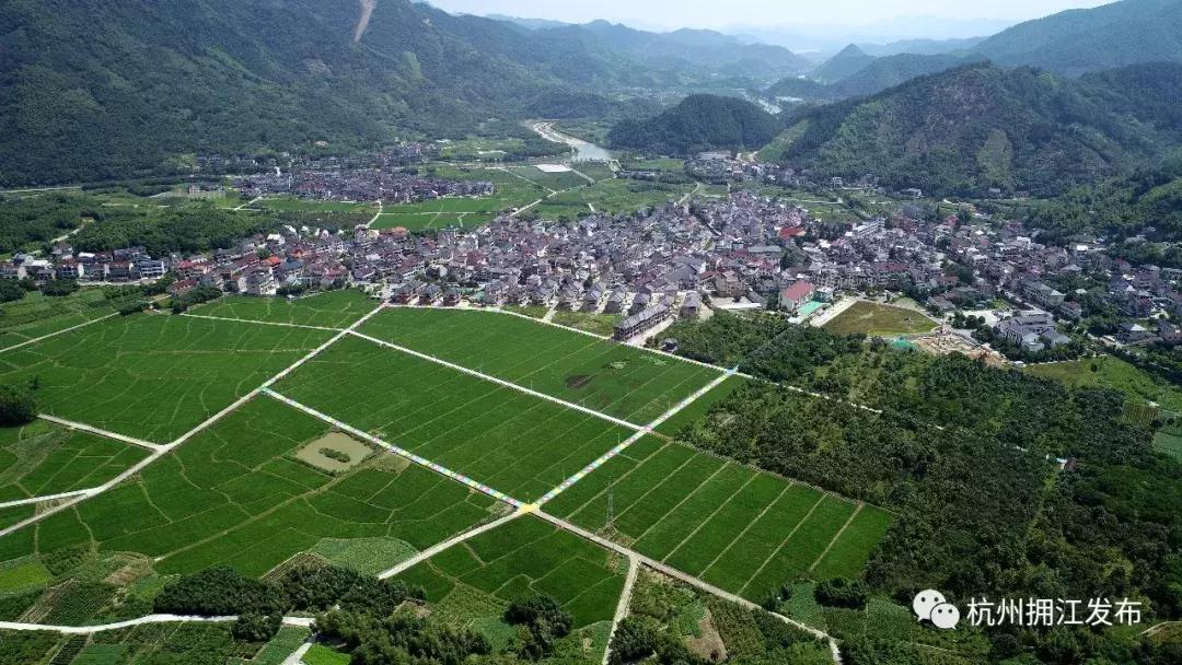 震撼！钱塘江畔出现巨型画作，有28个足球场这么大！