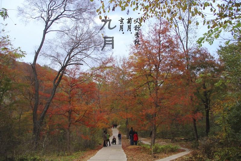 告诉你一个秘密中国的传统节日,超有趣的中国传统节日