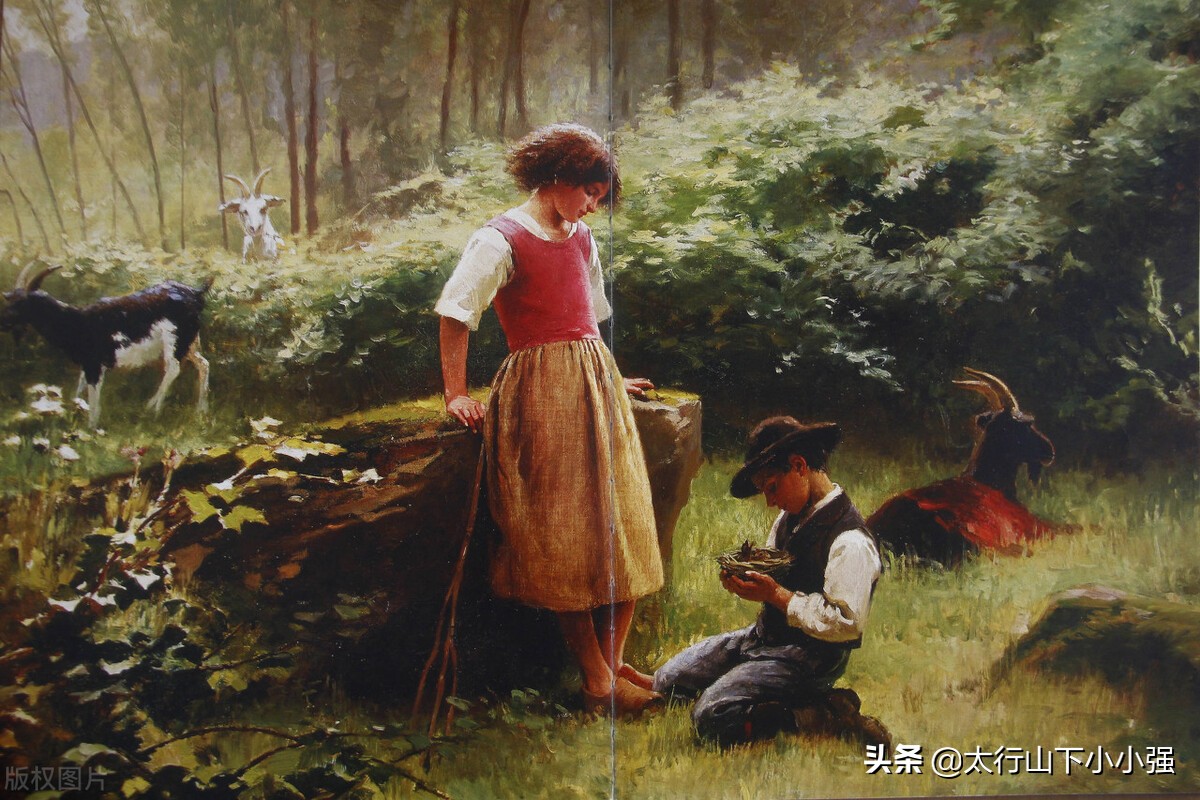 雪鹰领主结尾为什么这么烂,雪鹰领主完结篇一口气看完