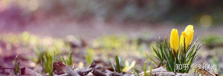 肝硬化及炎症手术的难度很大,肝硬化细胞治疗最新临床课题