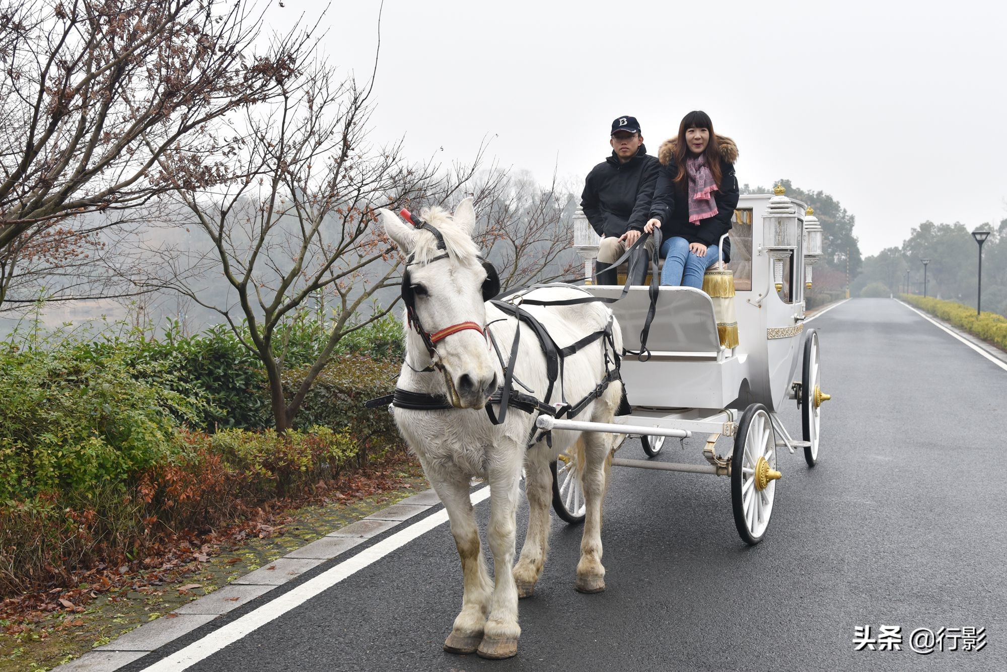 紫金山庄风景,南京紫金山风景区秋韵之美