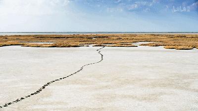 bbc纪录片最值得看的,bbc神级纪录片豆瓣评分超9