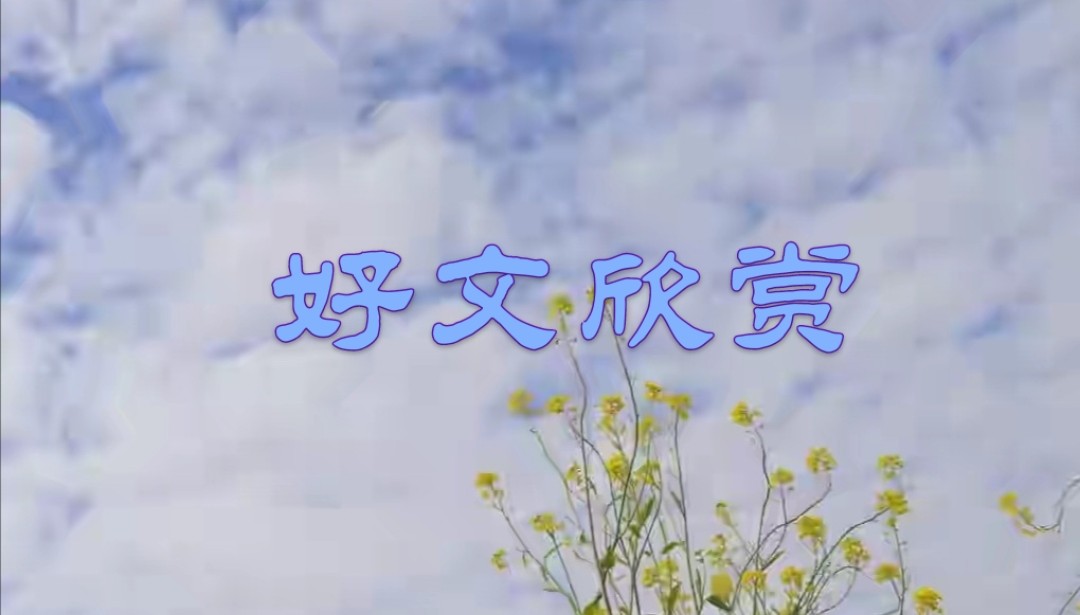 关于祖国的作文一等奖,一等奖作文祖国