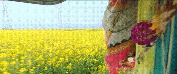 刘青云为什么缺席金像奖,刘青云的真实生活视频