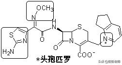执业药师药物化学结构记忆口诀,初级药师基础知识药物分析