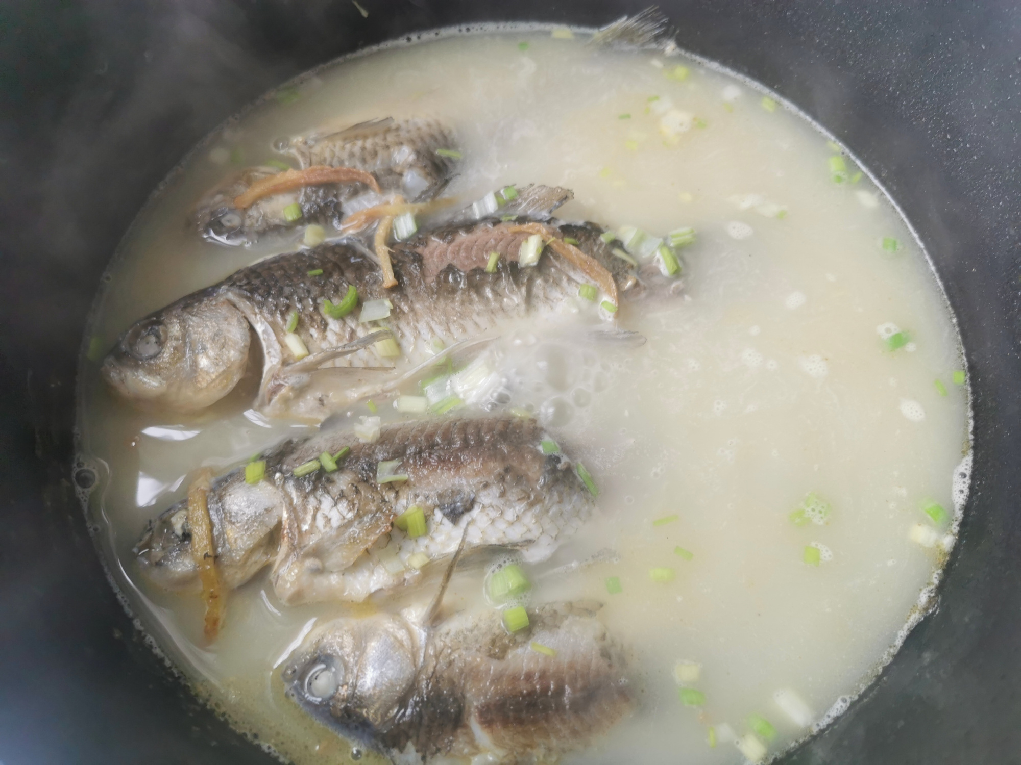 老人喝什么鱼汤最好,什么鱼不适合熬鱼汤