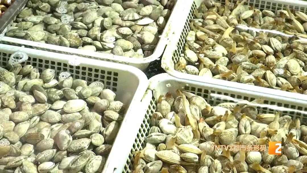 日本核废水排海后海鲜能放心吃吗,海鲜还能吃吗官方回应