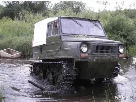 为啥俄罗斯大汉总是背着老婆钻树林？