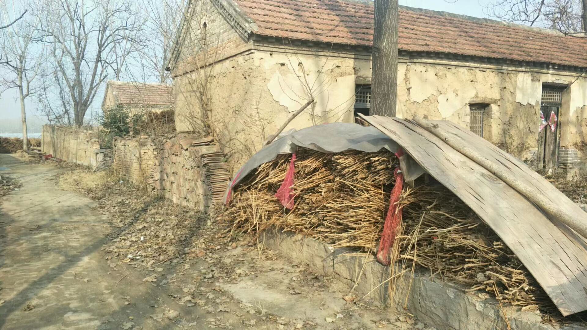 大金乡卧虎藏龙之地,藏龙卧虎村