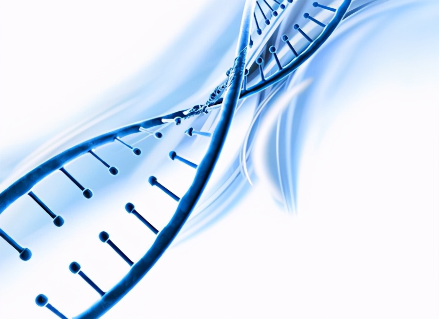 硬纤维瘤是长在皮肤表面吗,硬纤维瘤是什么样