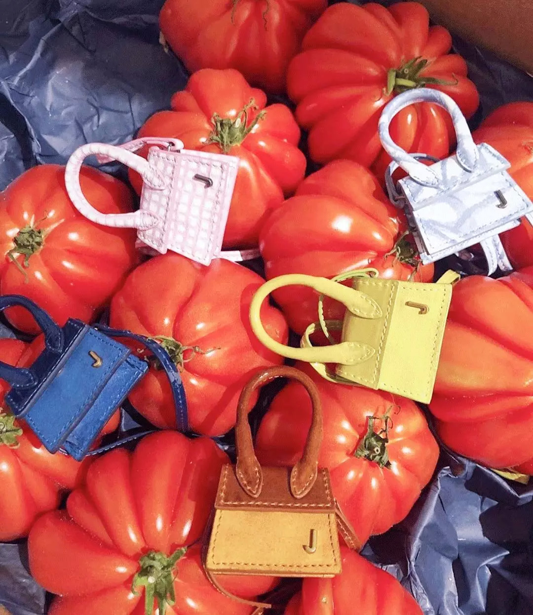 我的胸,我的手指,我的脚腕……都需要一只包包