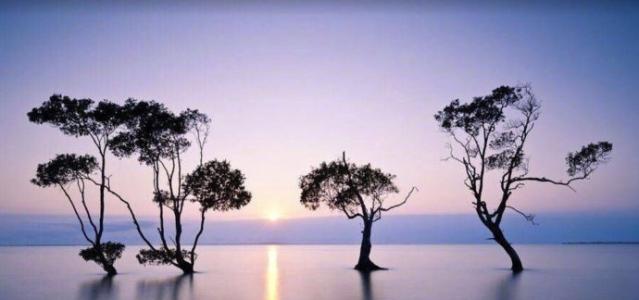 美得让人窒息的诗词,美得让人窒息的唐诗宋词