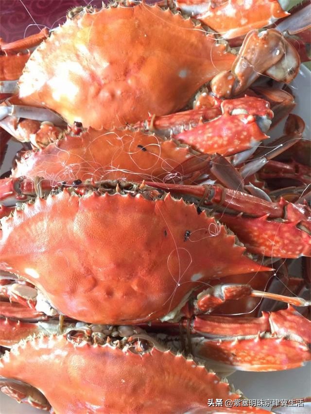 海边可以赶海吃住玩一体的农家院,秦皇岛黄金海岸牧海农家院