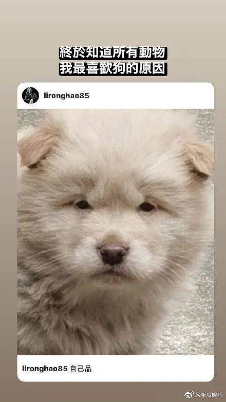 李荣浩微博说过的话,李荣浩的微博真实视频